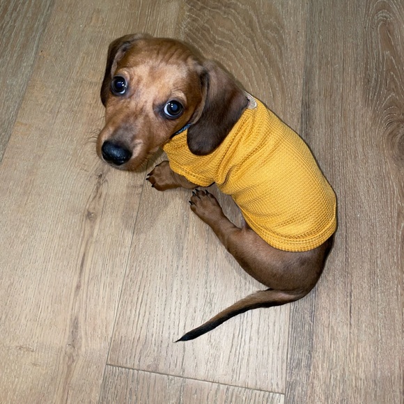 Meet your Posher, Kristin - Picture 8 of 11